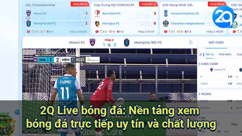 2q-live-bong-da-1