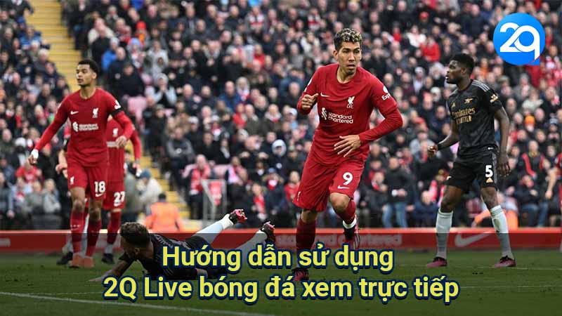 2q-live-bong-da-2