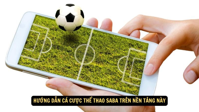 the-thao-saba-3