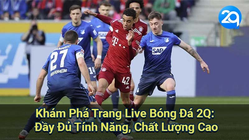 trang-live-bong-da-2q-2